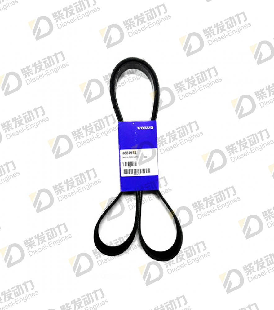 V-ribbed belt 3883978 